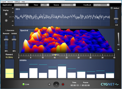 Neurofeedback Egyesület - ILF screen