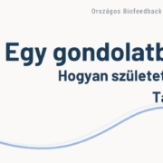 blog Támogatói Alap története